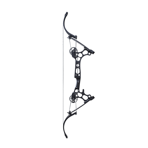 Custom Bow: G-NAT