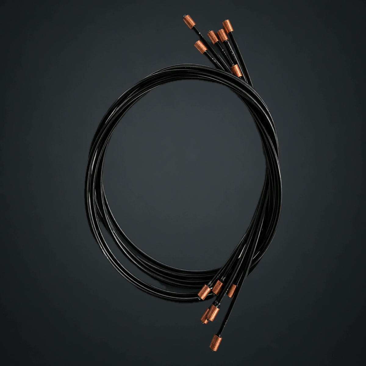 Gnat cables, Black