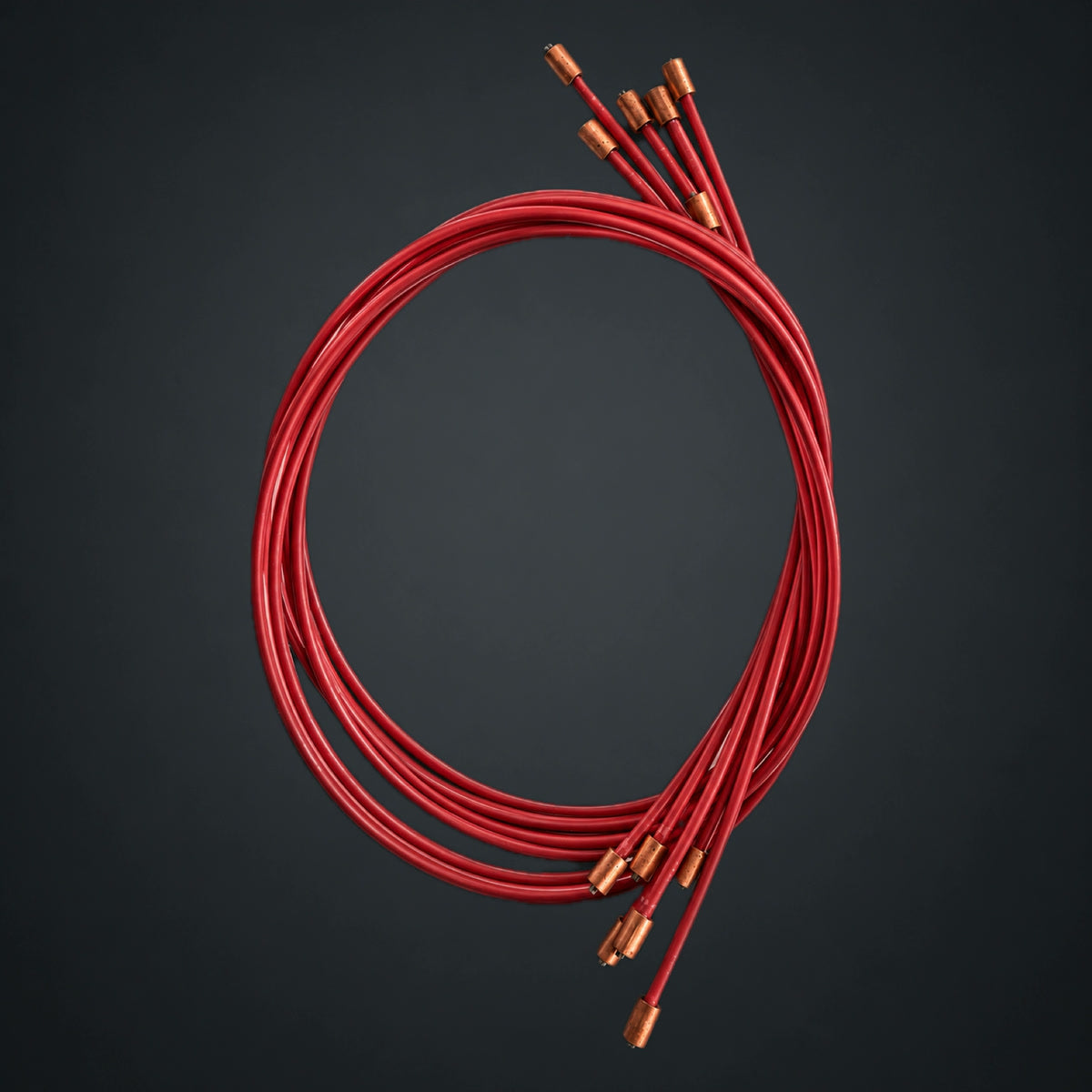 Gnat cables, Red